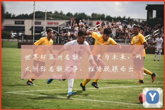 世界杯亚洲名额，历史与未来，两大洲际名额之争，谁将脱颖而出