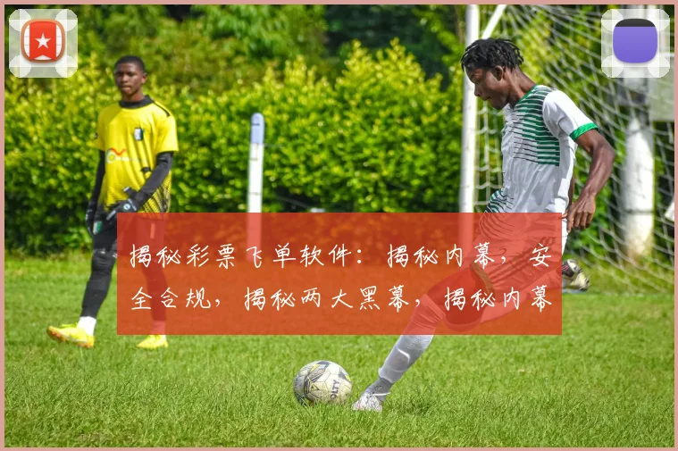 揭秘彩票飞单软件：揭秘内幕，安全合规，揭秘两大黑幕，揭秘内幕