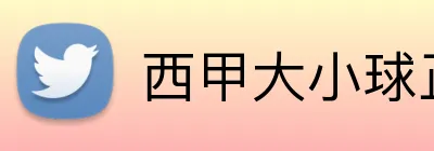 西甲大小球正规网站 Logo